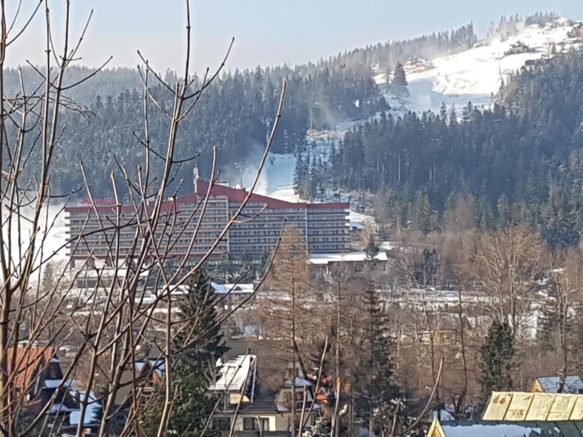 Pensjonat U Barbary I Jacka Zakopane Buitenkant foto